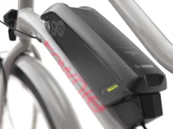 Fashion Trek Bikes Townie Go! 5i EQ Step-Thru