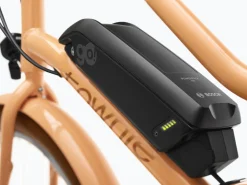 Fashion Trek Bikes Townie Go! 5i EQ Step-Thru