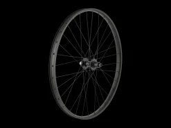 Best Trek Bikes Trek Alex MD35 Boost 29" MTB Wheel