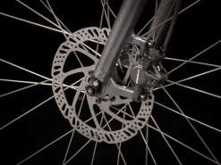 Store Trek Bikes Verve 2 Disc Gen 4