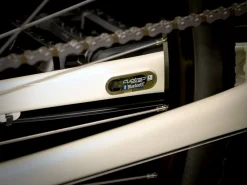 New Trek Bikes Verve 1 Disc Lowstep