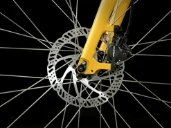 Shop Trek Bikes Verve 2 Lowstep Gen 5