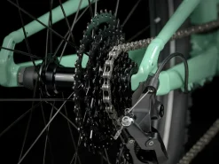 Store Trek Bikes Wahoo 24 Path