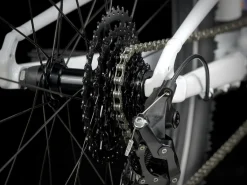 Best Sale Trek Bikes Wahoo 26 Path