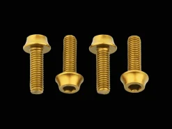 Cheap Trek Bikes Wolf Tooth Water Bottle Cage Bolts